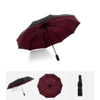 Portable Travel Umbrella, Umbrellas for Rain Windproof, Strong Compact Umbrella for Wind and Rain, Perfect Car Umbrella, Golf Umbrella (Wine Red)