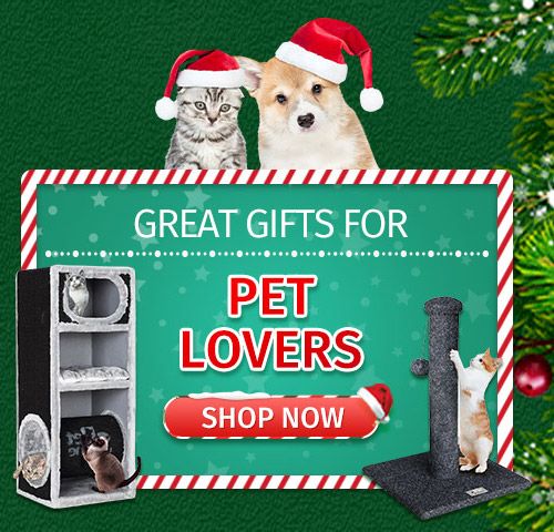 Chirstmas Gift Ideas for Pets