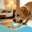 Lick Sphere for Dogs, Anxiety Relief Bowl with Rotating Ball, Slow Feeder Dog Bowl for Liquid Treats, Broth to Reduce Stress & Prevent Fast Eating (Blue)