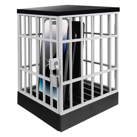 Cell Phone Jail Phone Cage with Lock and Key, Phone Lock Box, Cell Phone Locker for Classroom, Family, Grey
