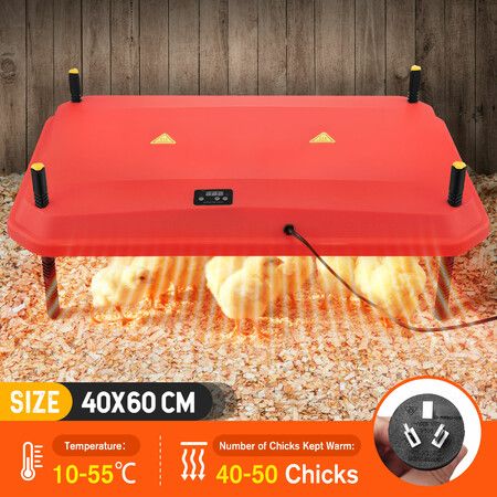Chick Brooder Heating Plate Chicken Coop Brooding Heater Poultry Duckling Chook Winter Warmer for 40–50 Chicks Adjustable Temperature Height 40x60cm