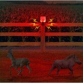 Solar Alarm, Infrared Timed Alarm Light, 13 Built-in Sound Effects Recordable, 8 Red LED , Suitable for Orchards, Construction Sites, Farm Barns