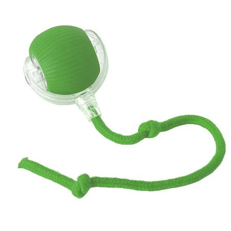 Interactive Cat Dog Ball, 360 Degree Automatic Rotating Ball with USB Charging for Cats and Dogs Color Green