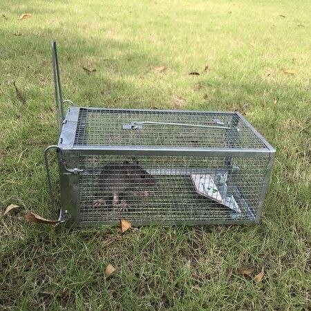 Rat Trap Humane Live Catch Cage for Mice Chipmunks Voles Hamsters Indoor Outdoor