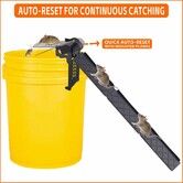 2Pcs Walk The Plank Bucket Mouse Trap Humane Trap for Mice and Rat 5 Gallon or Larger Multi-Catch Auto Reset Reusable No Kill Live Traps