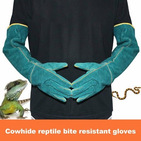 Animal Handling Gloves Ultra Long Leather Safety Bite Protection for Dogs Cats Reptiles Pets Green