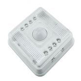 LED Infrared Sensor Motion Activated White Light - White