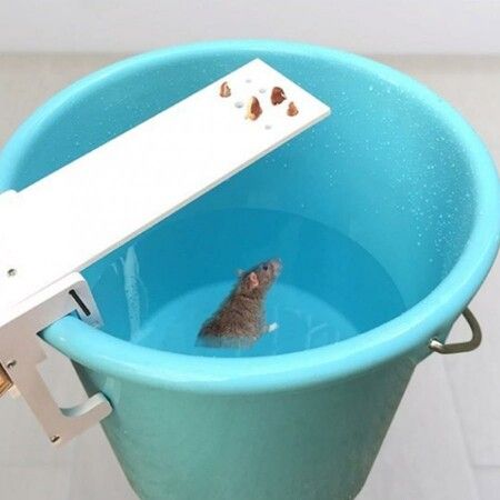 Mouse Trap Quick Kill Bait House Seesaw Pest Controller For Home Garden