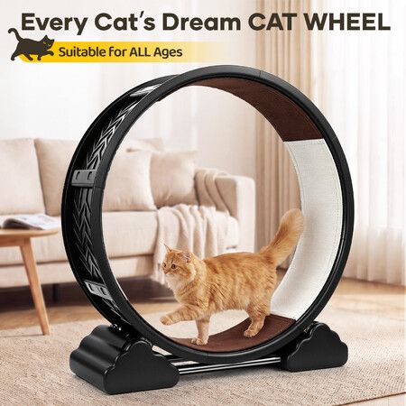 Cat Exercise Wheel Running Toy Exerciser Plastic Indoor Feline Fitness Workout Treadmill Spinning Walking Training Circle Weight Management Active Play