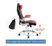 High Back Gaming and Racing Office Computer Chair