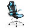 High Back Gaming and Racing Office Computer Chair - Black