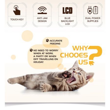 https://img.bestdeals.co.nz/products_pictures/147/14739_102769_F.jpg