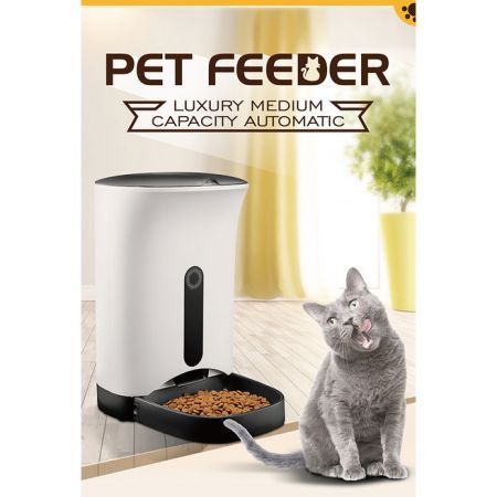 https://img.bestdeals.co.nz/products_pictures/147/14739_102771_F.jpg