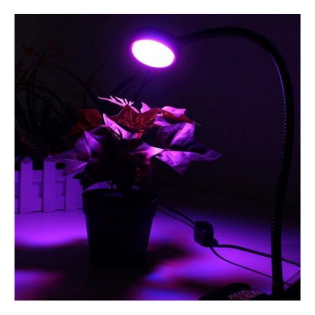 https://img.bestdeals.co.nz/products_pictures/159/15915_114883_F.jpg