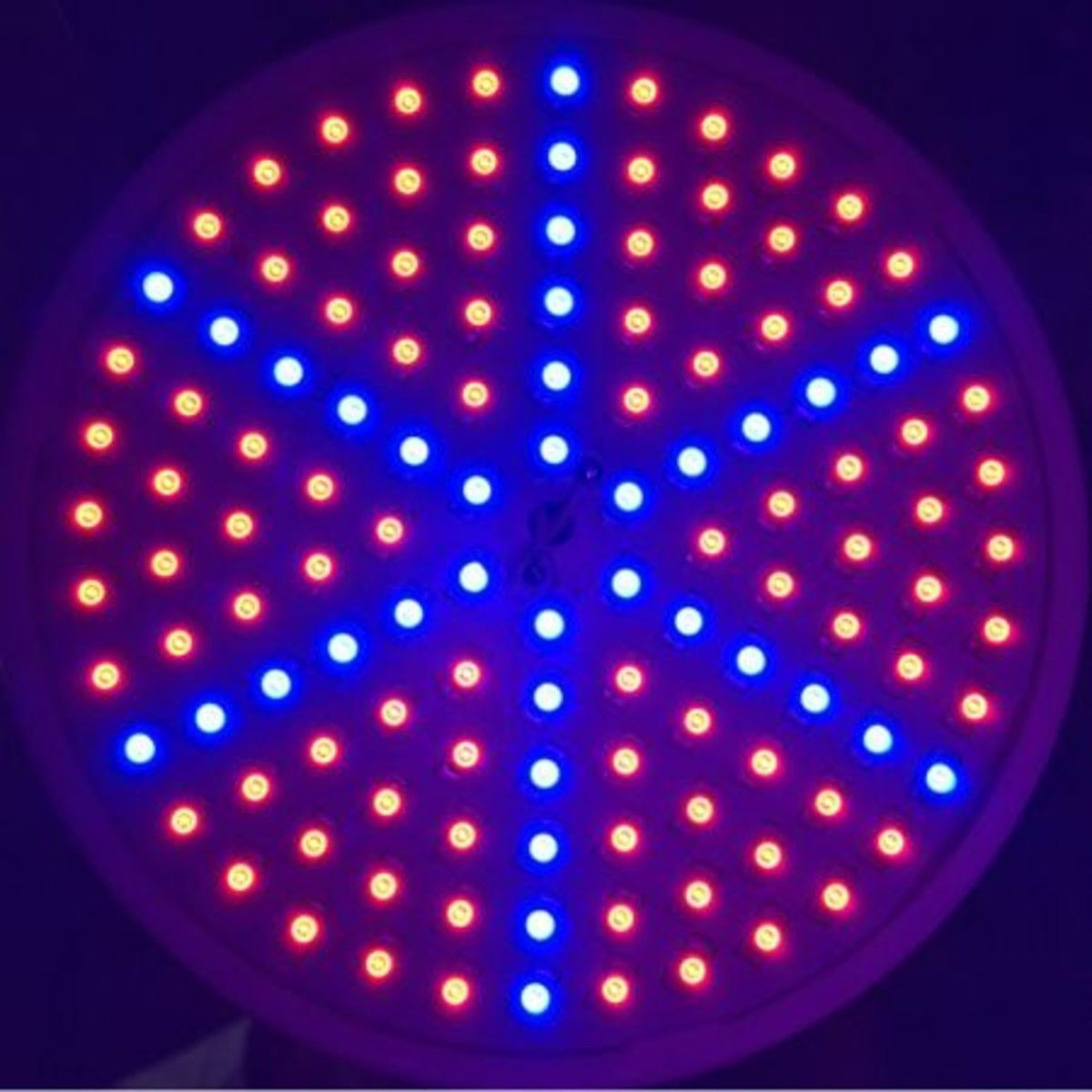 https://img.bestdeals.co.nz/products_pictures/159/15917_114913_F.jpg