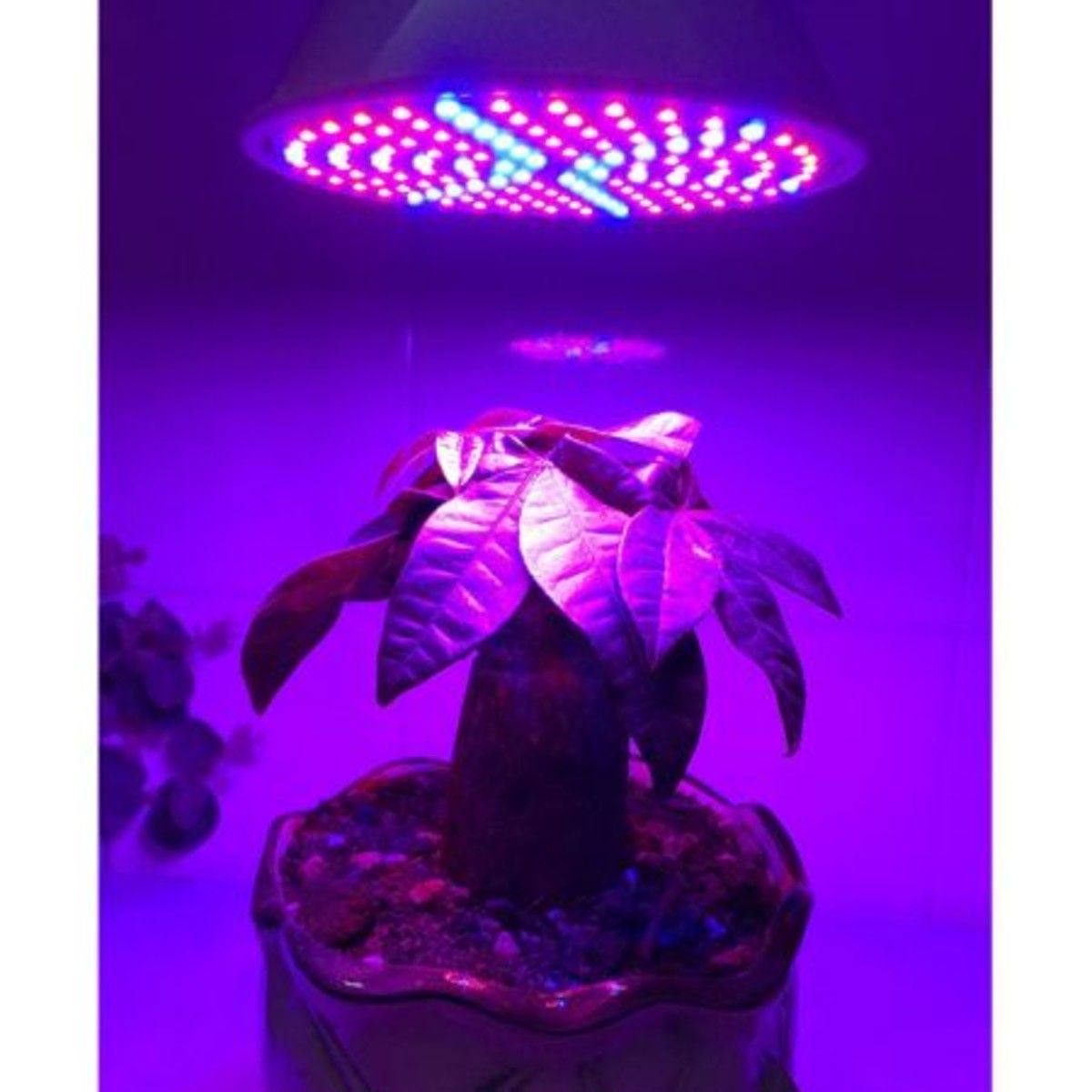 https://img.bestdeals.co.nz/products_pictures/159/15917_114915_F.jpg
