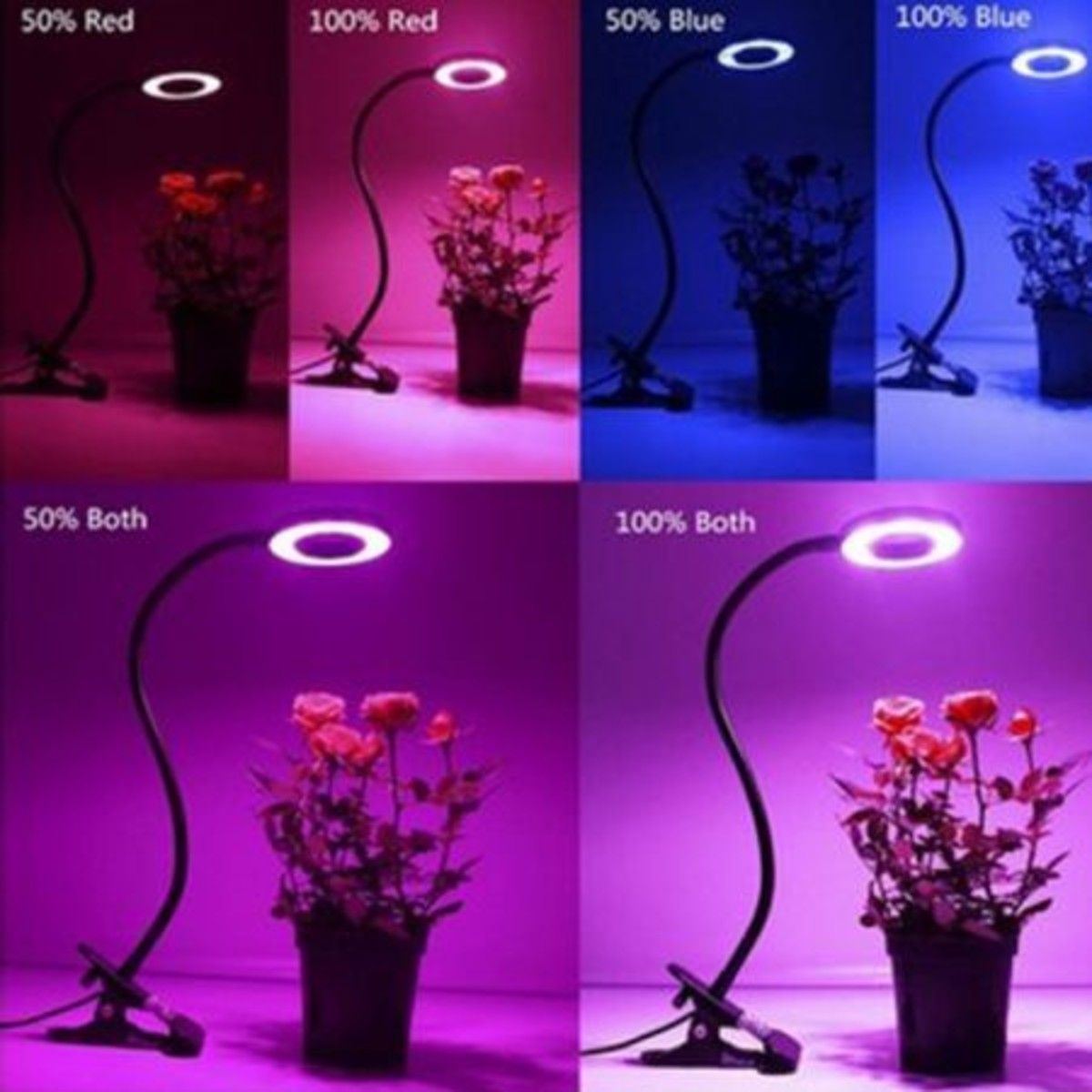 https://img.bestdeals.co.nz/products_pictures/159/15919_114919_F.jpg