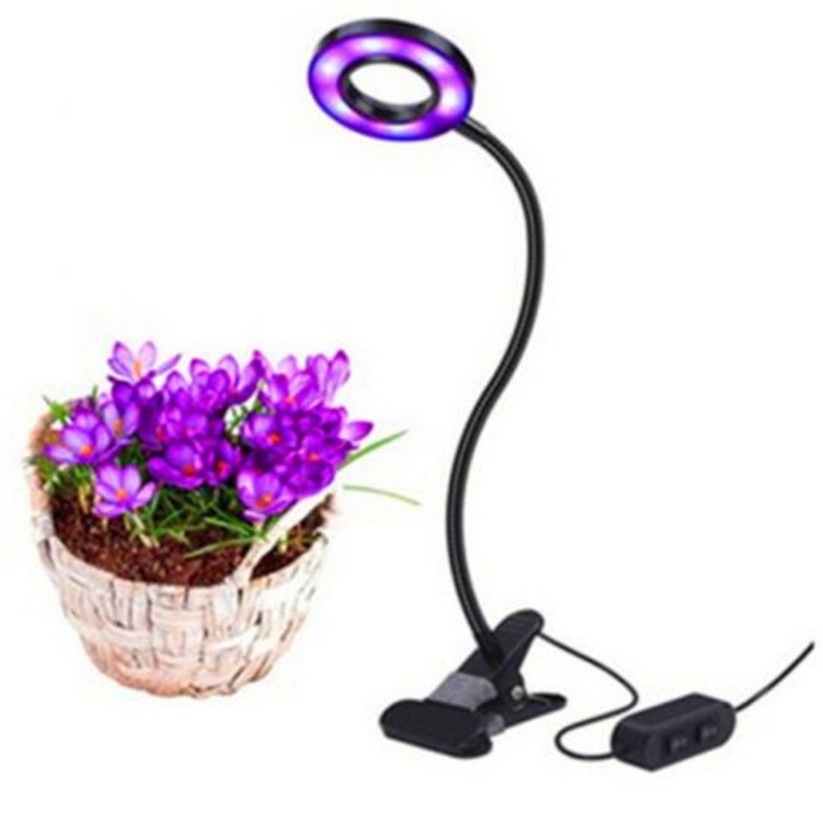 https://img.bestdeals.co.nz/products_pictures/159/15919_114921_F.jpg