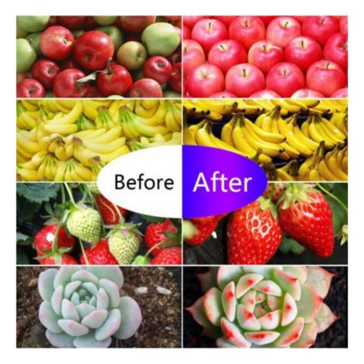 https://img.bestdeals.co.nz/products_pictures/159/15919_114925_F.jpg