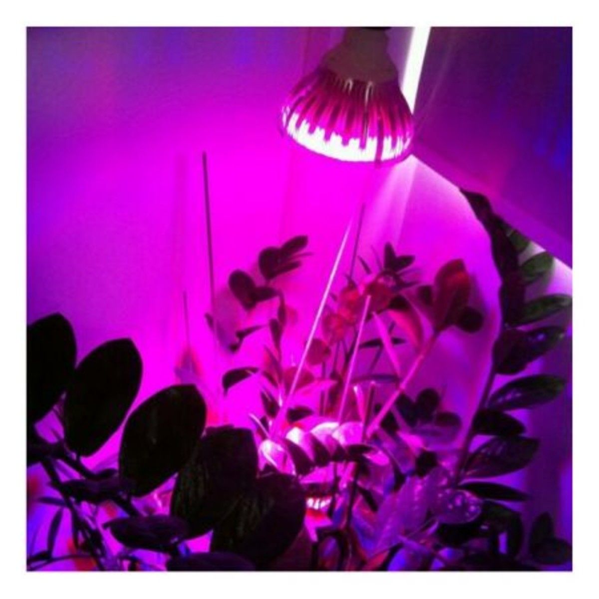 https://img.bestdeals.co.nz/products_pictures/159/15927_115031_F.jpg