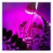 28W Full Spectrum Led Plant Growing Lamp