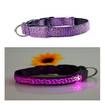USB Charger Nylon LED Pet Cat Dog Collar Light Night