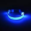 USB Rechargeable Glow LED Dog Pet Cat Flashing Light Up Nylon Collar