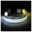USB Rechargeable Glow LED Dog Pet Cat Flashing Light Up Nylon Collar
