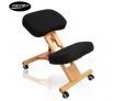 Adjustable Ergonomic Office Chair