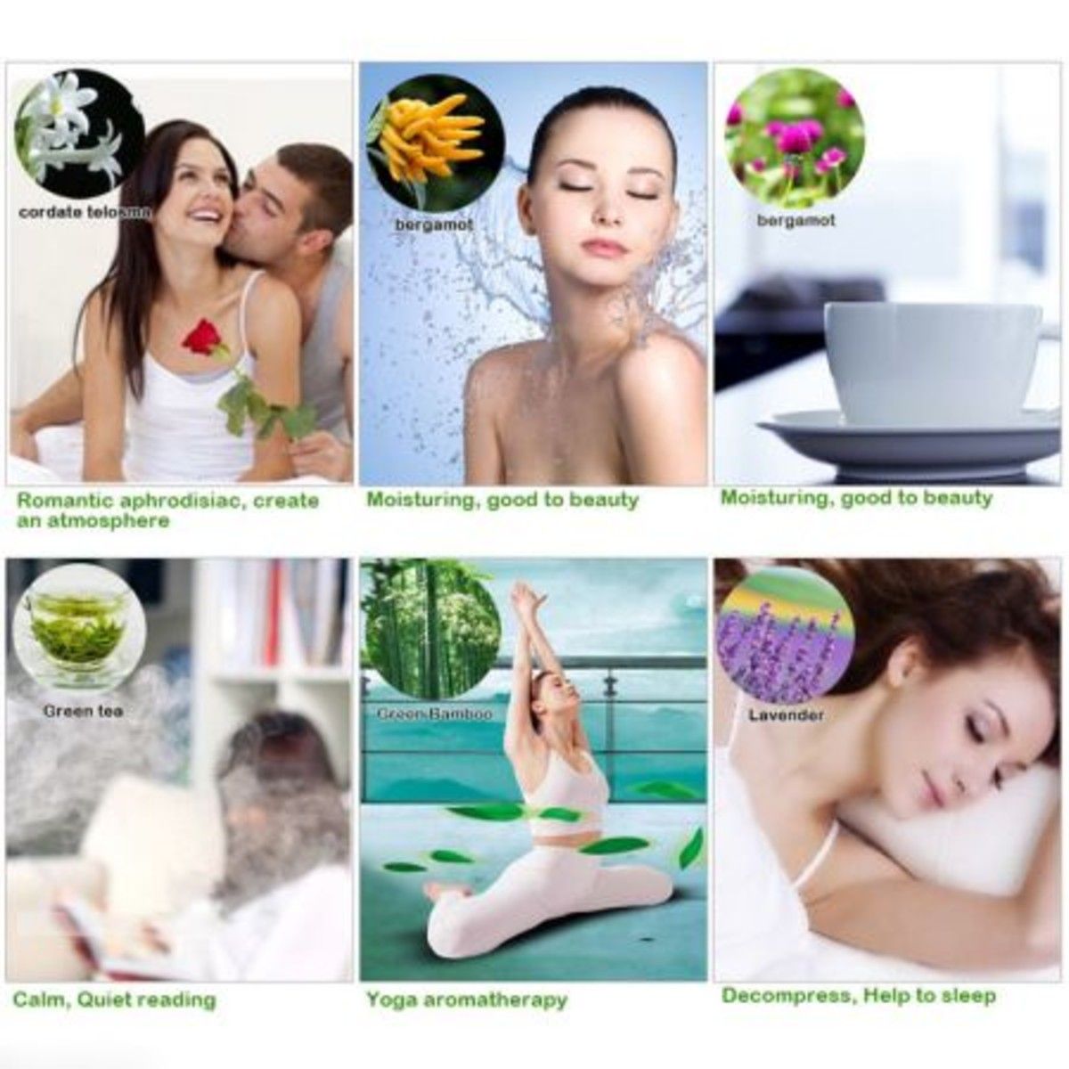 https://img.bestdeals.co.nz/products_pictures/170/17083_124607_F.jpg