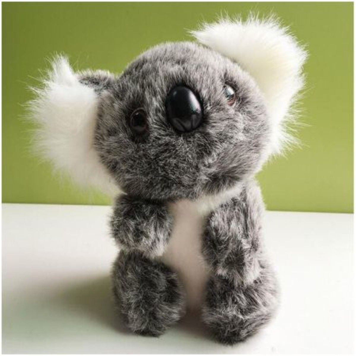 https://img.bestdeals.co.nz/products_pictures/176/17627_132583_F.jpg