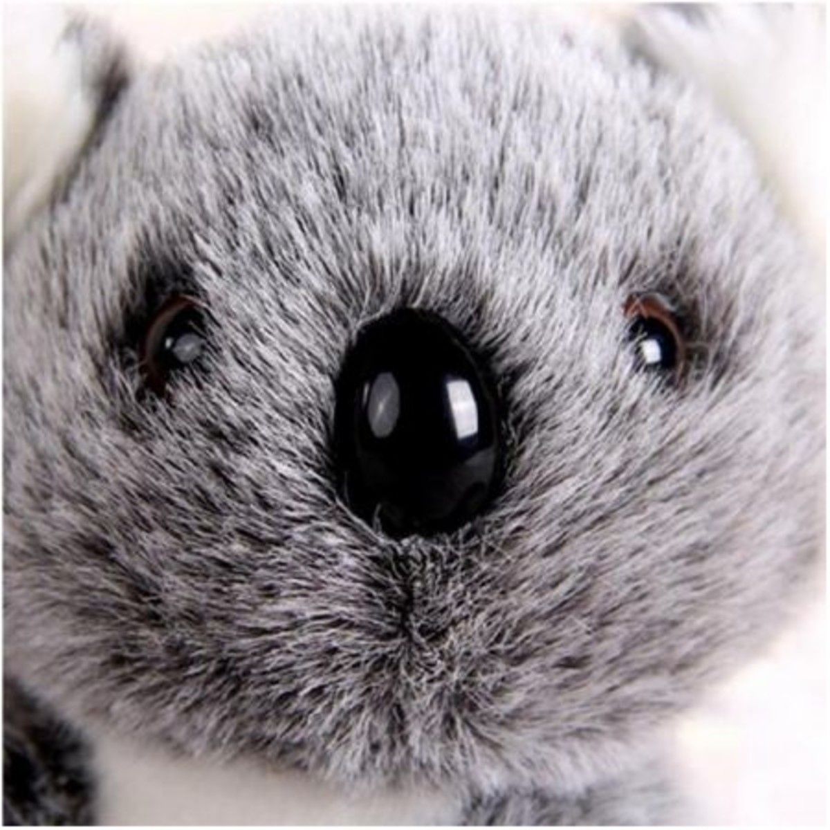 https://img.bestdeals.co.nz/products_pictures/176/17627_132587_F.jpg