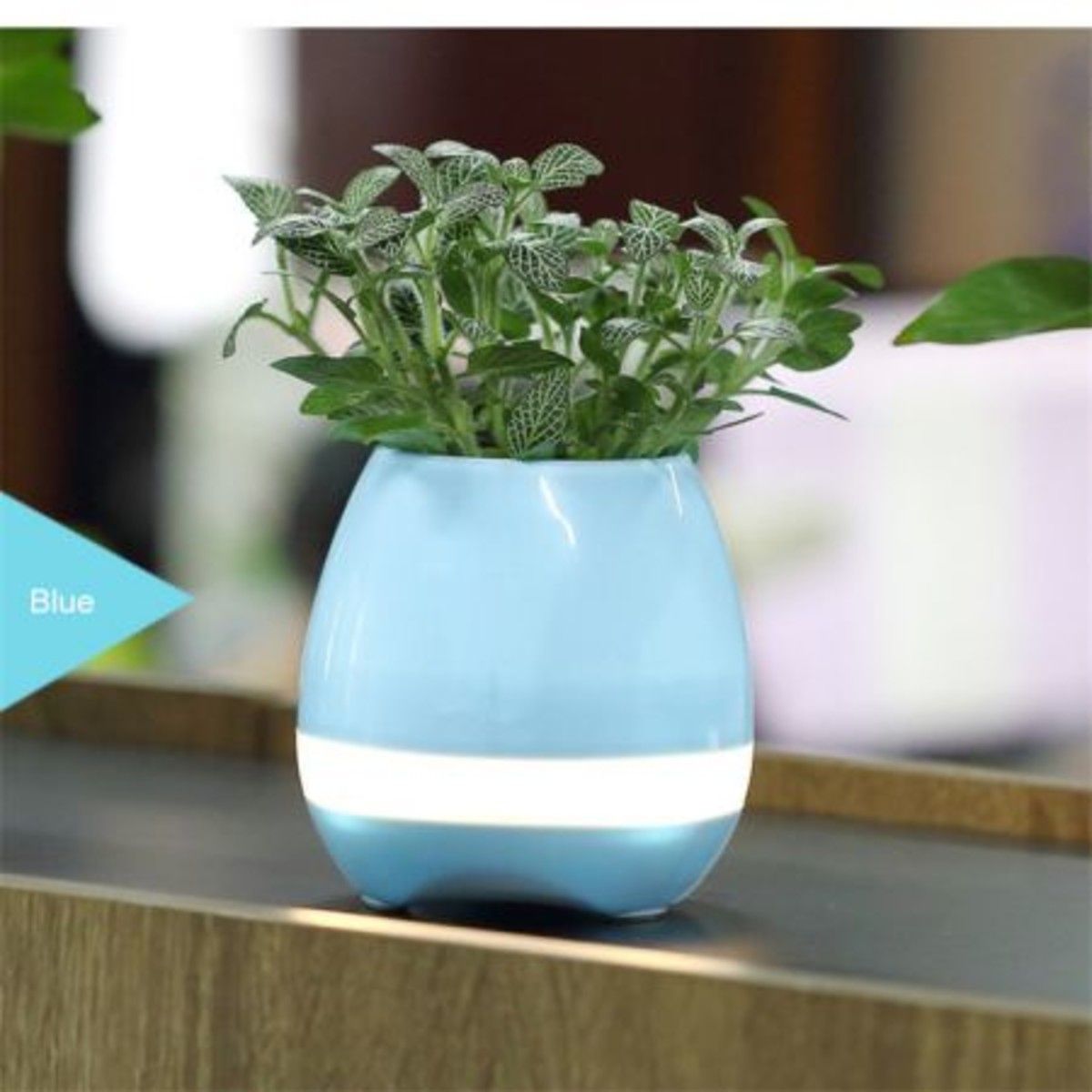 https://img.bestdeals.co.nz/products_pictures/176/17677_133017_F.jpg