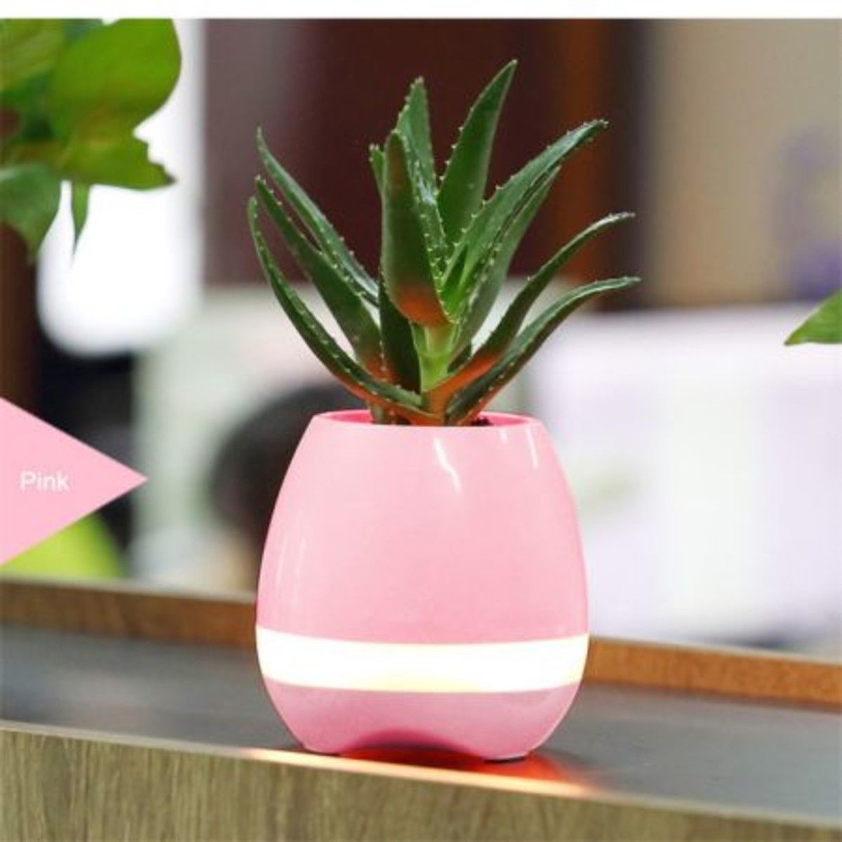 https://img.bestdeals.co.nz/products_pictures/176/17677_133019_F.jpg