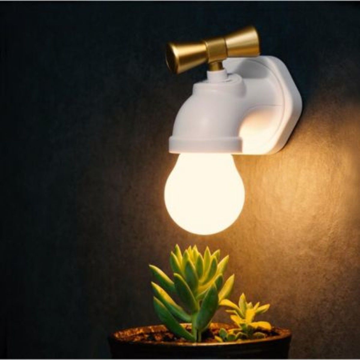 https://img.bestdeals.co.nz/products_pictures/177/17733_133319_F.jpg