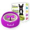 Anti Choke Pet Slow Eating Drink Bowls Small