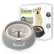Anti Choke Pet Slow Eating Drink Bowls Large
