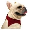 Christmas Pet Costume Dog Cat Puppy Jingling Bell Scarf Bandana