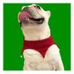 Christmas Pet Costume Dog Cat Puppy Jingling Bell Scarf Bandana
