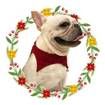 Christmas Pet Costume Dog Cat Puppy Jingling Bell Scarf Bandana