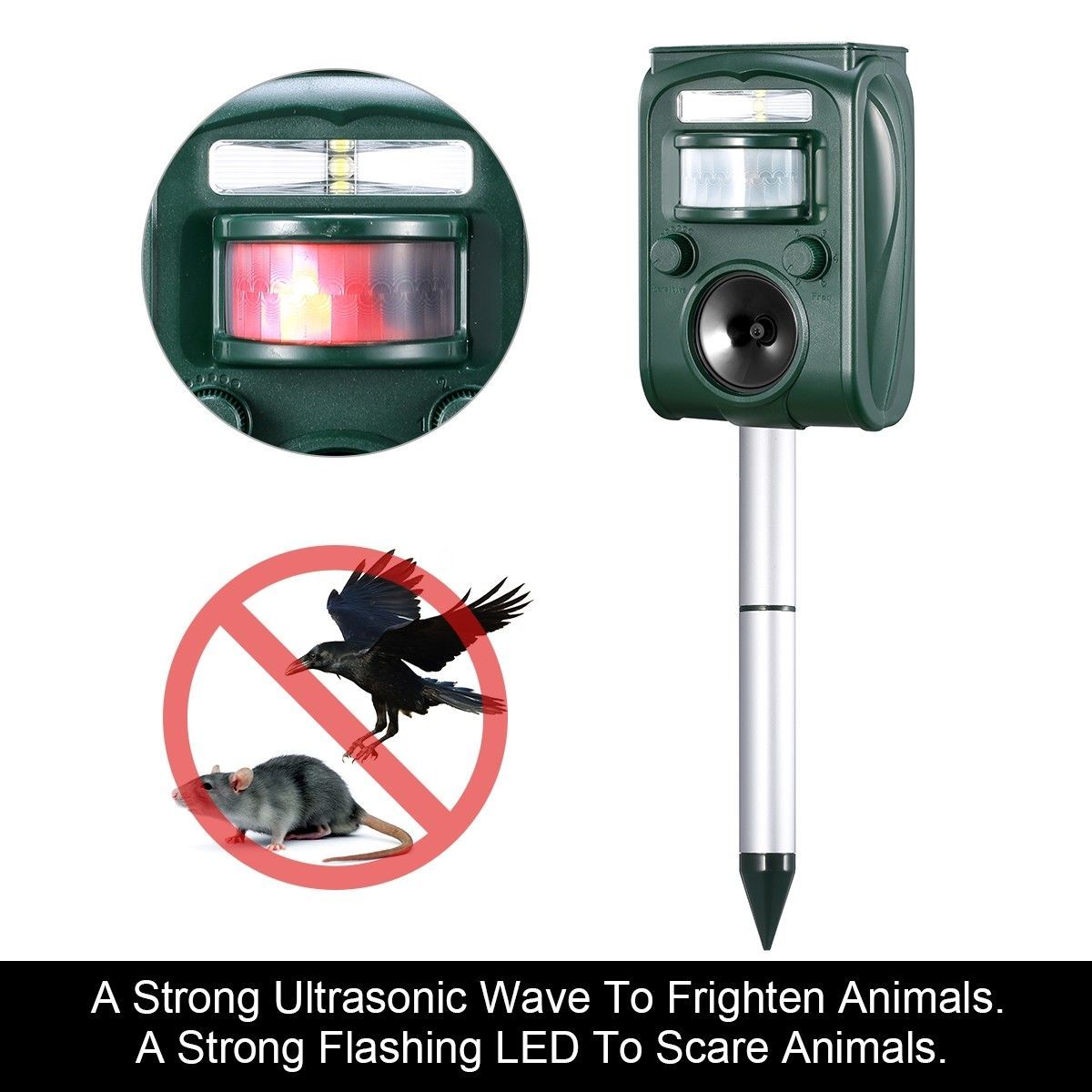 https://img.bestdeals.co.nz/products_pictures/180/18006_135313_F.jpg
