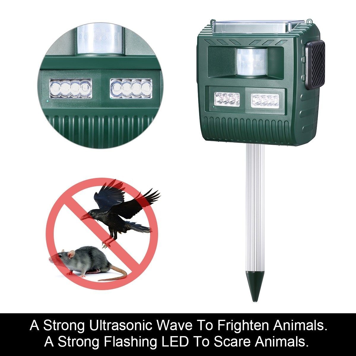 https://img.bestdeals.co.nz/products_pictures/181/18116_136446_F.jpg