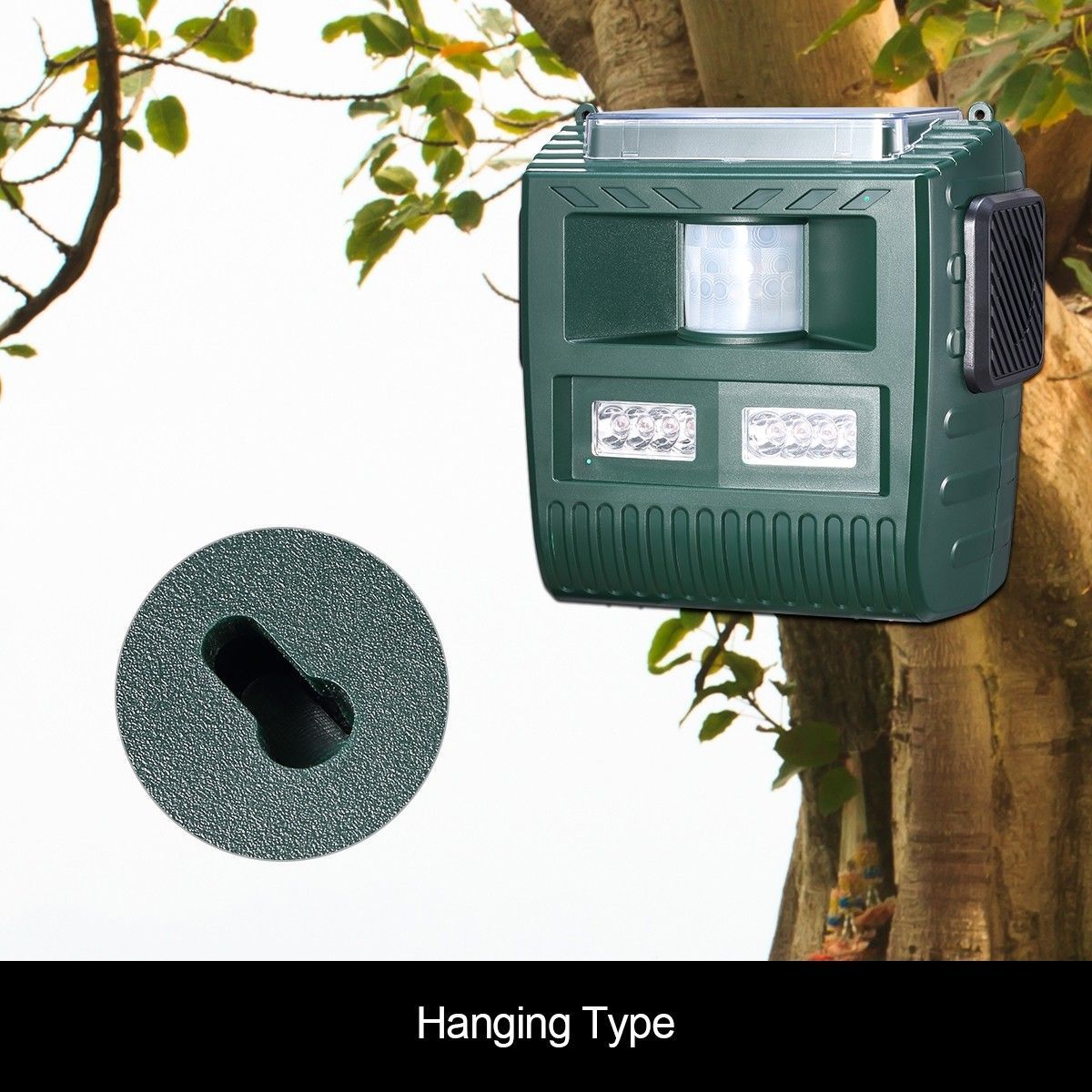 https://img.bestdeals.co.nz/products_pictures/181/18116_136447_F.jpg