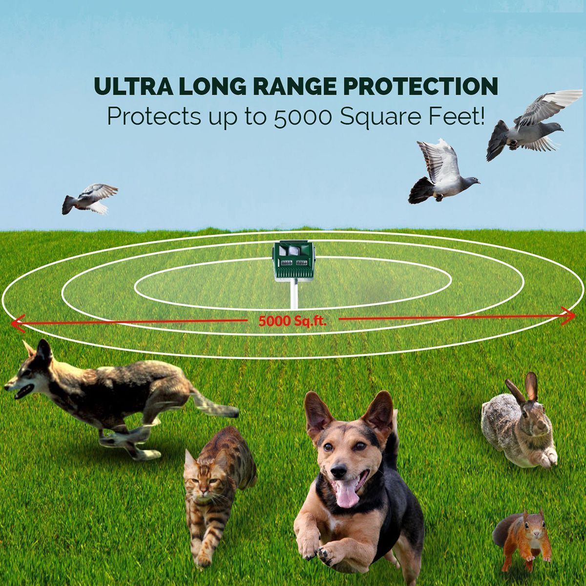 https://img.bestdeals.co.nz/products_pictures/181/18116_136452_F.jpg