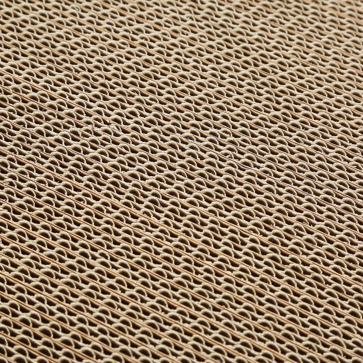 https://img.bestdeals.co.nz/products_pictures/181/18125_136524_F.jpg
