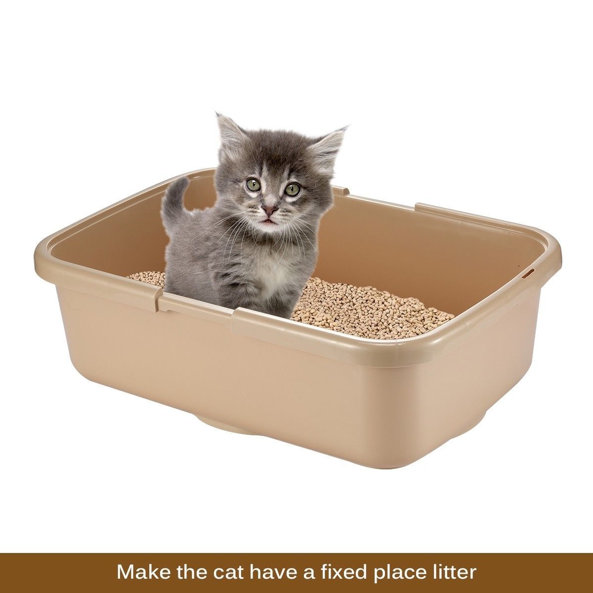 https://img.bestdeals.co.nz/products_pictures/181/18127_136554_F.jpg