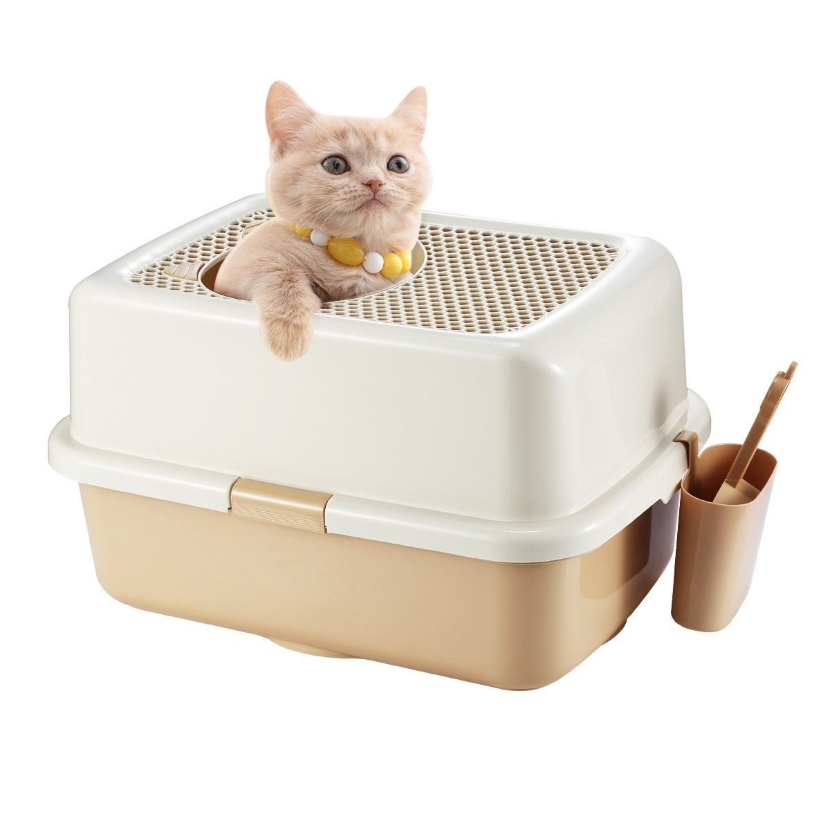 https://img.bestdeals.co.nz/products_pictures/181/18127_136555_F.jpg