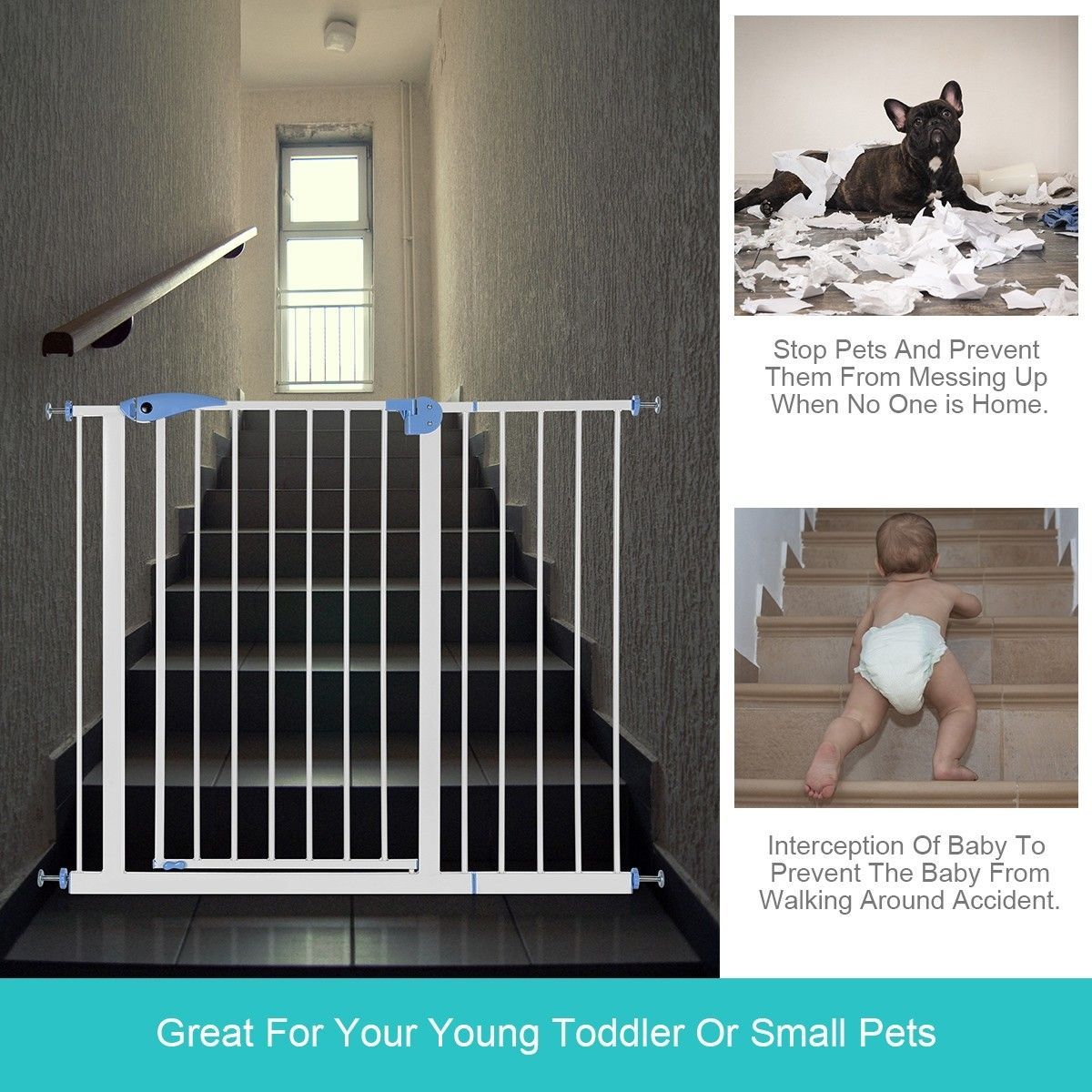https://img.bestdeals.co.nz/products_pictures/181/18136_136651_F.jpg