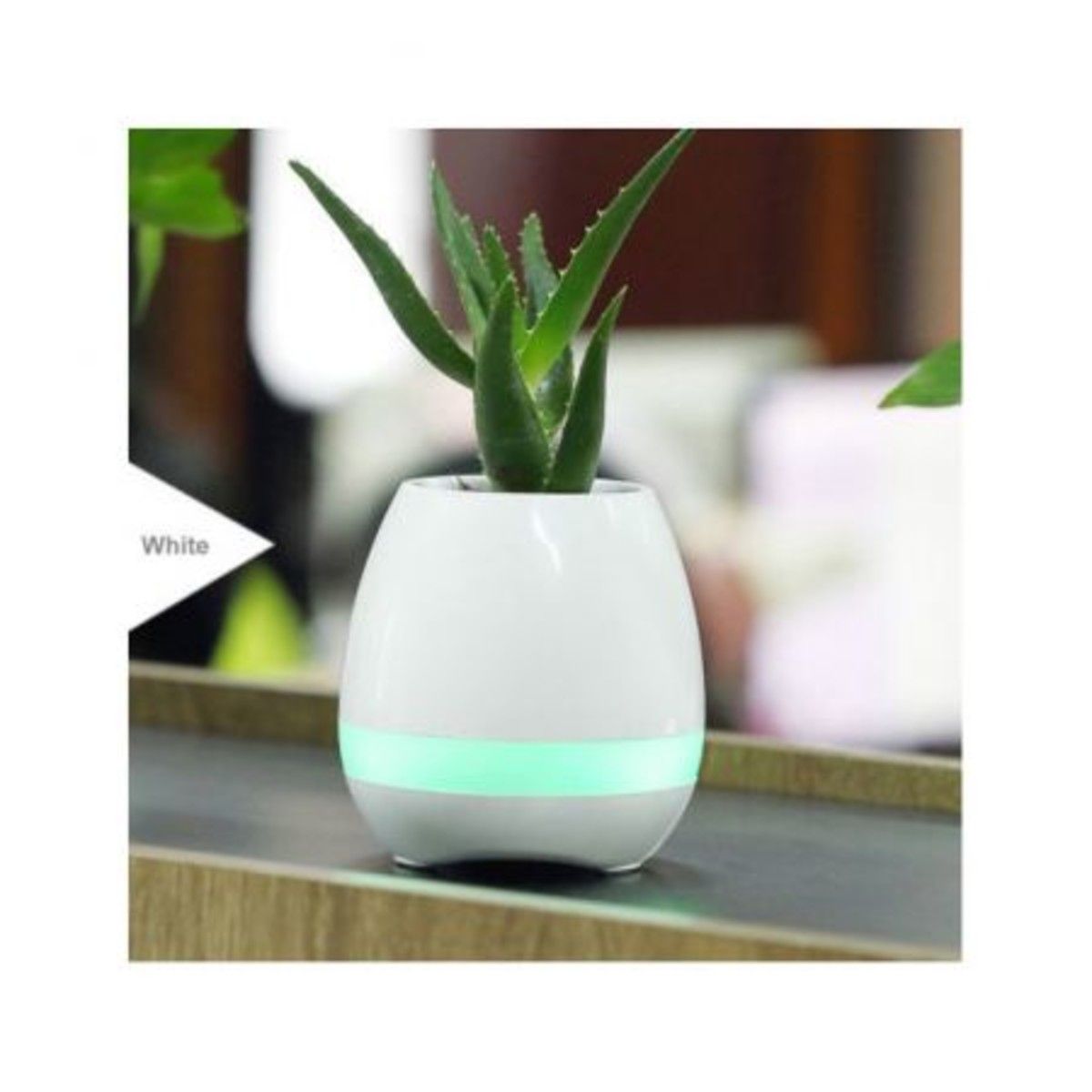 https://img.bestdeals.co.nz/products_pictures/183/18362_138495_F.jpg