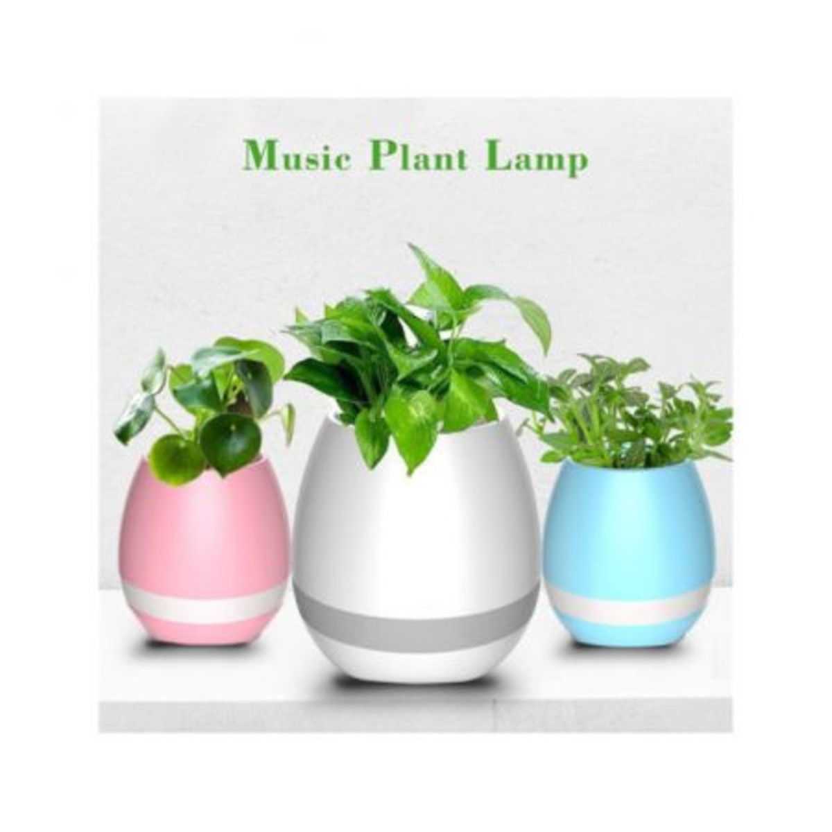 https://img.bestdeals.co.nz/products_pictures/183/18362_138496_F.jpg